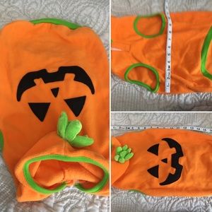 Doggie Jack O’ Lantern Costume